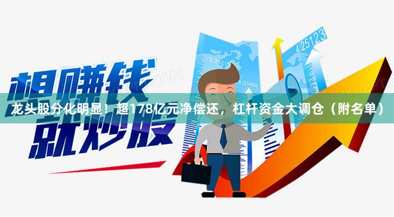 龙头股分化明显！超178亿元净偿还，杠杆资金大调仓（附名单）
