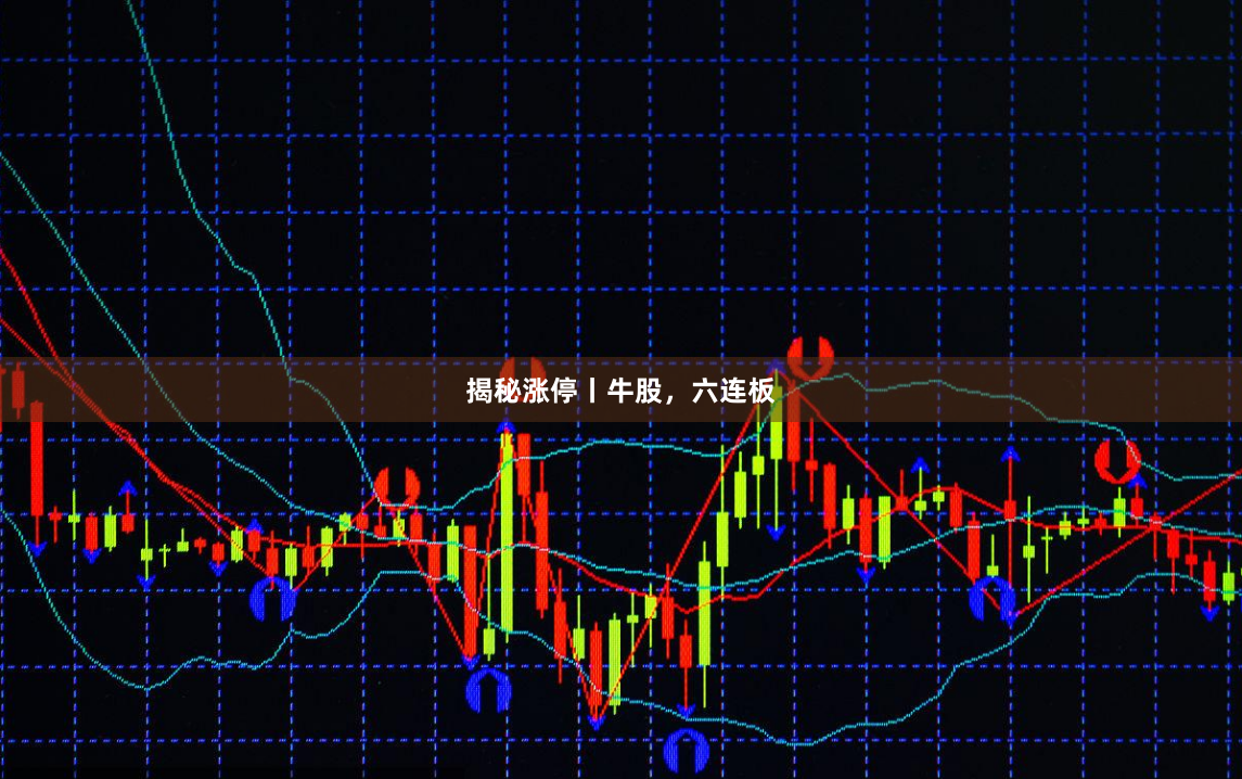 揭秘涨停丨牛股，六连板